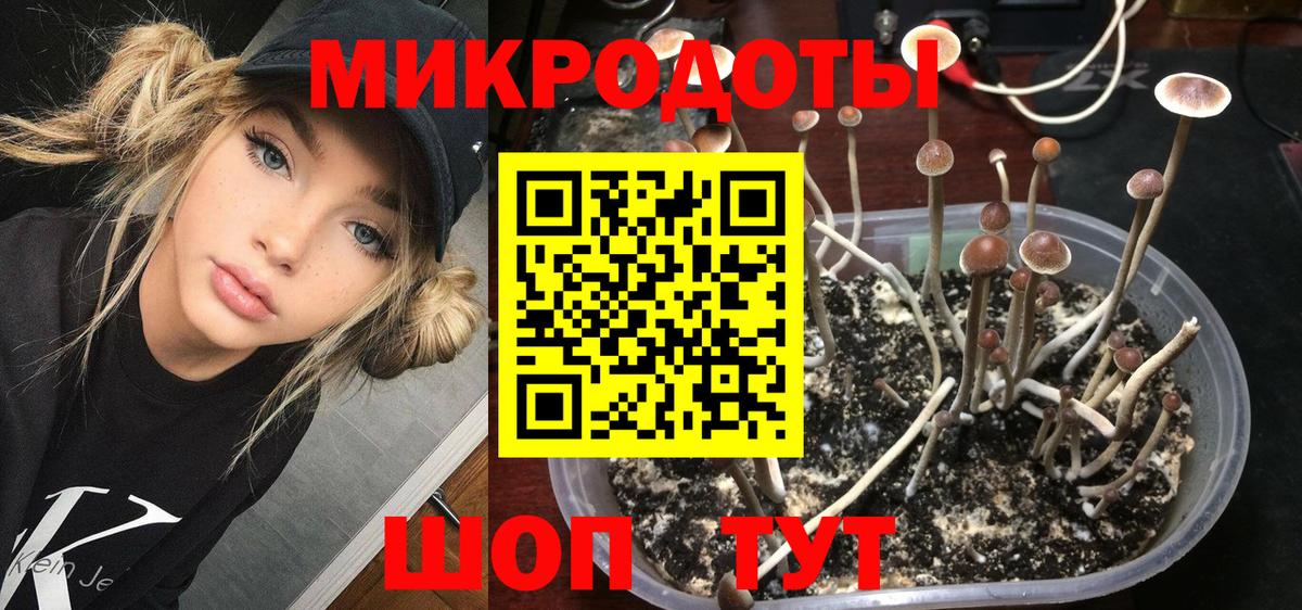 Галлюциногенные грибы мицелий  Вход с VPN  Сорочинск  Псилоцибиновые грибы Cubensis 